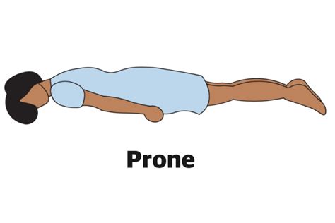 prone bone stellung|Prone Bone: How To Master The Best Sex Position In 7 Steps